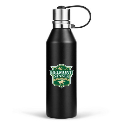 17 oz. Travel Stainless Steel Vacuum Insulated Thermos Bottle w/ Lid & Handle